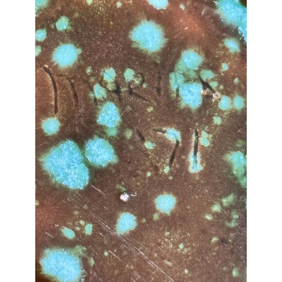 Vintage Large Green Ceramic Frog 🐸 Toad Figurine Hand Crafted Signed Dated 1971 - Picture 6 of 16